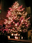 DSCN4337.jpg