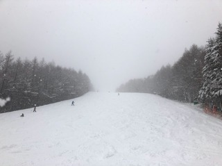 IMG_3239.jpeg