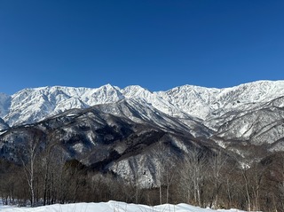 IMG_3292.jpeg