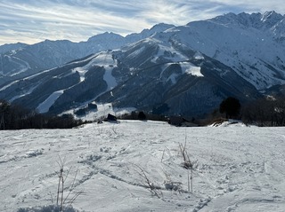 IMG_3321.jpeg