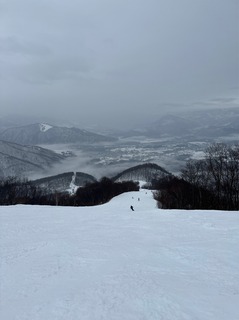 IMG_3359.jpeg