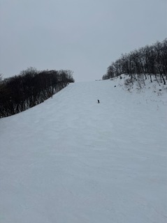 IMG_3360.jpeg
