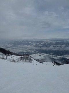 IMG_3376.jpeg