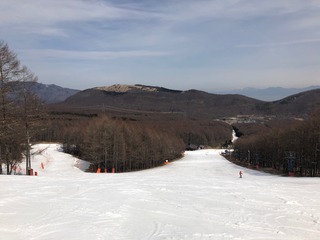 IMG_3377.jpg
