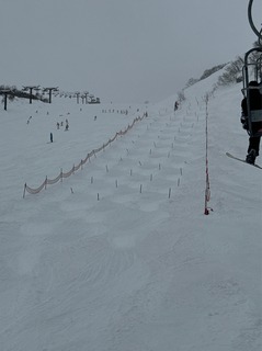 IMG_3378.jpeg