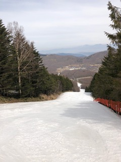 IMG_3393.jpg