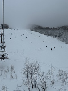 IMG_3406.JPG