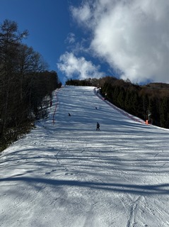 IMG_3537.JPG