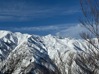 IMG_3647.JPG