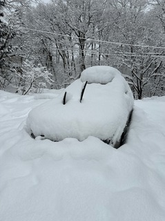 IMG_3653.JPG