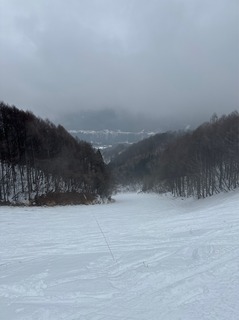 IMG_3735.jpeg