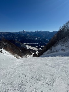 IMG_3929.jpeg