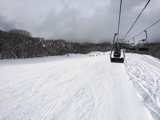IMG_4098.JPG