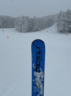 IMG_4293.jpeg