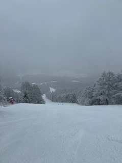 IMG_4303.jpeg