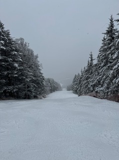 IMG_4307.jpeg