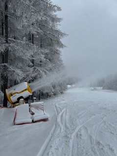 IMG_4324.jpeg