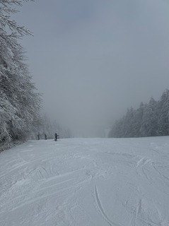 IMG_4369.jpeg