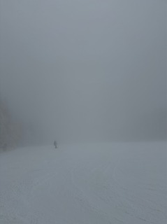 IMG_4378.jpeg