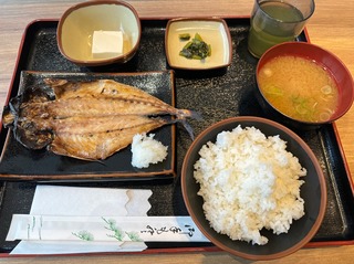 IMG_4409.jpeg
