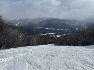 IMG_4457.jpeg