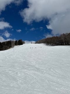 IMG_4593.jpeg
