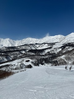 IMG_4638.jpeg