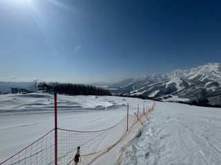 IMG_4685.jpeg