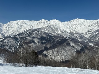 IMG_4689.jpeg