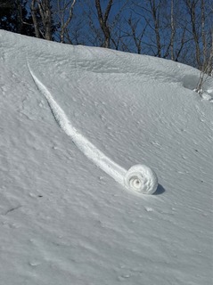 IMG_4694.jpeg