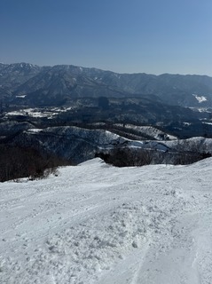 IMG_4701.jpeg