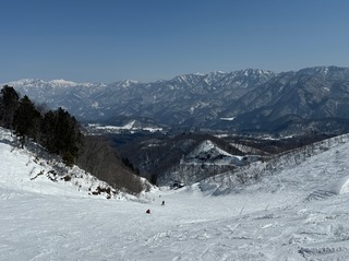 IMG_4705.jpeg