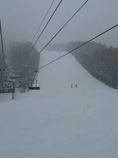 IMG_4802.jpeg