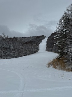IMG_4809.jpeg