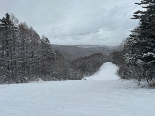 IMG_4814.jpeg