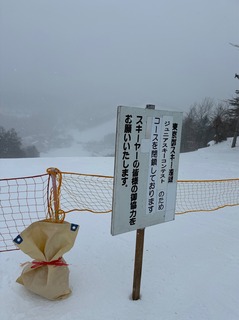 IMG_4874.jpeg