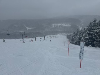 IMG_4895.jpeg