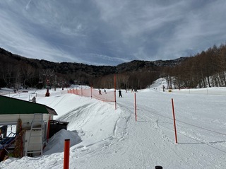IMG_4937.jpeg