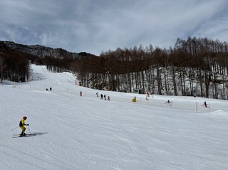 IMG_4938.jpeg