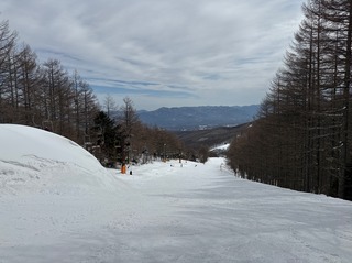 IMG_4943.jpeg