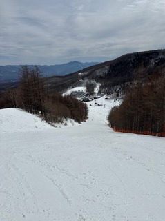 IMG_4944.jpeg