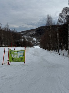 IMG_4950.jpeg