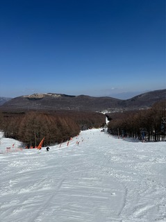 IMG_4995.jpeg