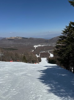 IMG_5003.jpeg