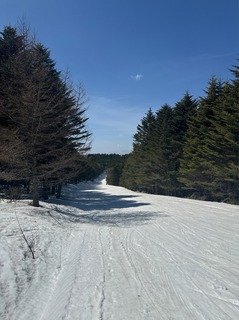 IMG_5017.jpeg
