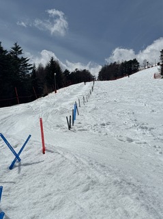 IMG_5070.jpeg