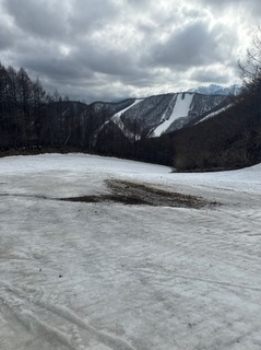 IMG_5222.jpeg