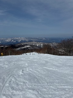 IMG_5335.jpeg
