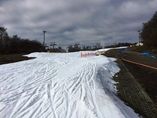 IMG_7093.JPG