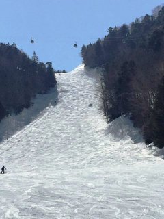 IMG_8258.JPG